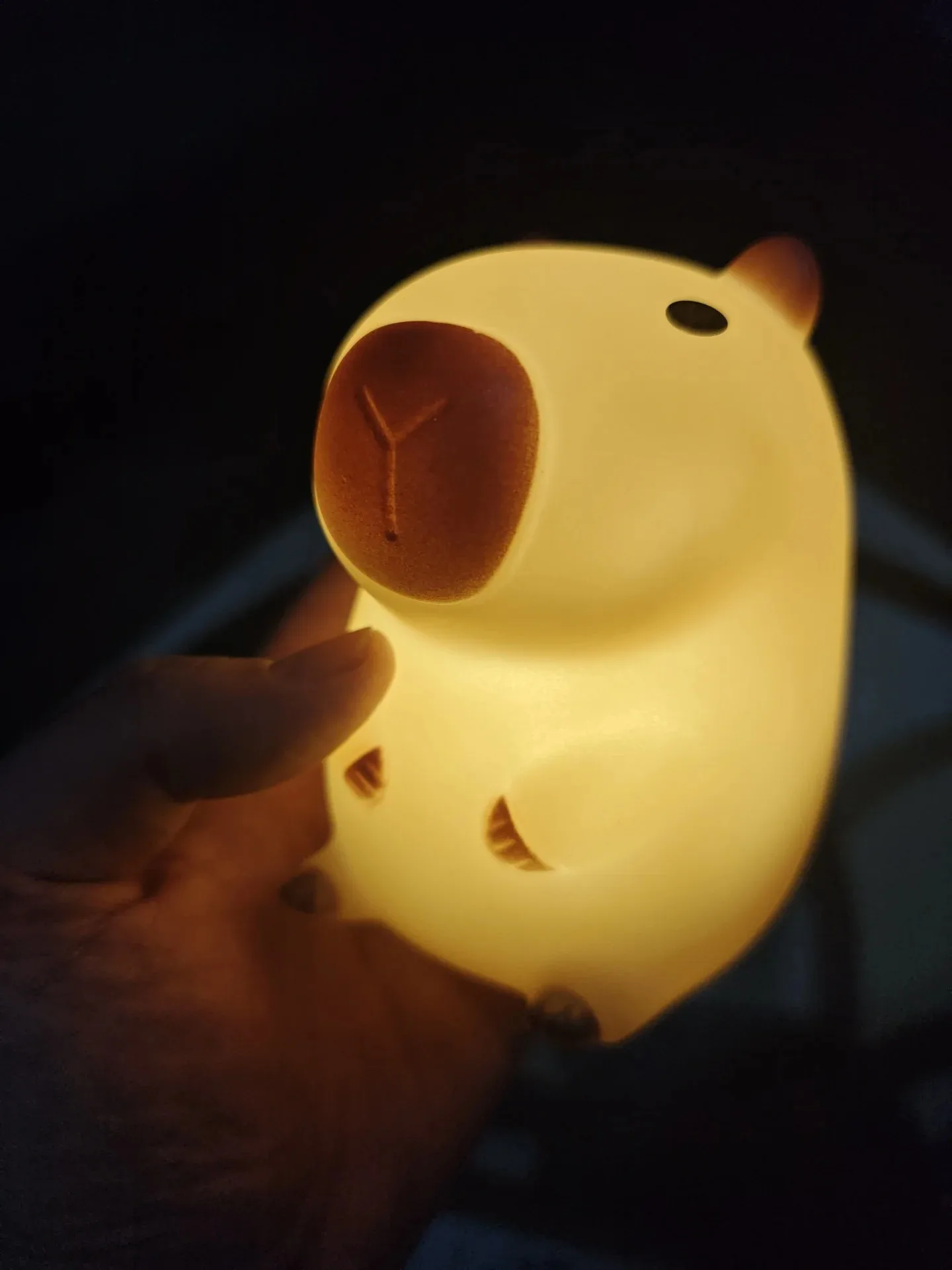 Capybara Night Light - Image 2